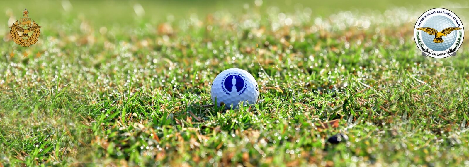 Golf Cup